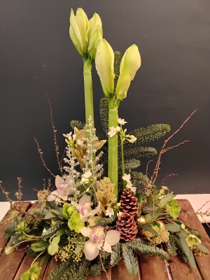 Amaryllis Christmas Hall Arrangement