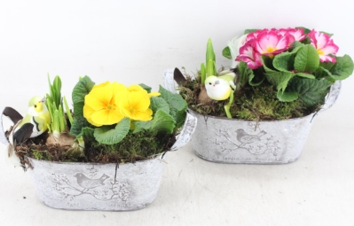 Mother's Day Medium Oval Zinc Planter
