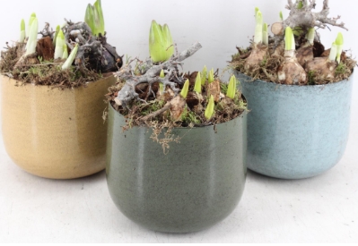 Mother's Day Medium Planter