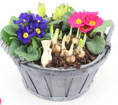 Mother's Day Large Outdoor Planter