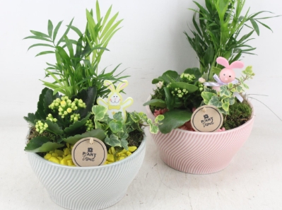 Mother's Day Indoor Planter