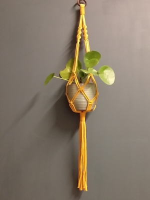 Mustard Plant Hanger