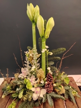 Amaryllis Christmas Hall Arrangement