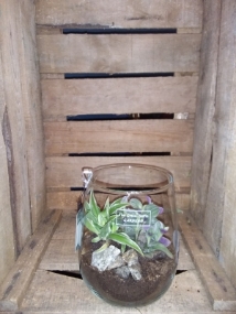 Mini Garden Glass Planter