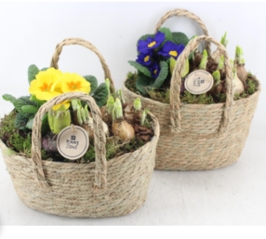Mother's Day Outdoor Basket
