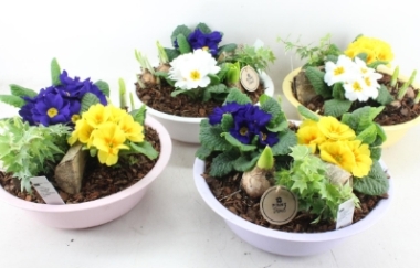 Mother's Day Zinc Large Planter