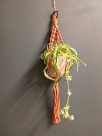 Rust Plant Hanger  Medium