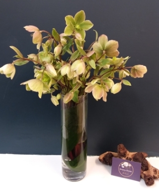 Vase of Blooms (Seasonal and Florist Choice)
